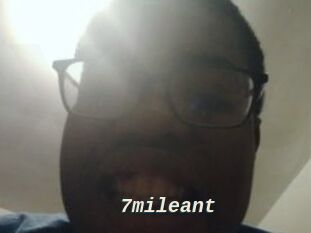 7mileant