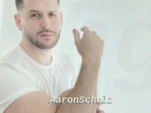 AaronSchulz