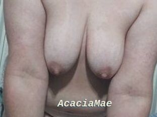 AcaciaMae