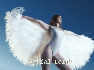 Aerial_Leigh