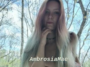 AmbrosiaMae