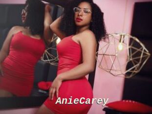 AnieCarey