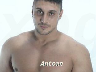 Antoan