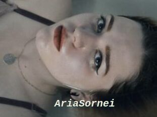 AriaSornei