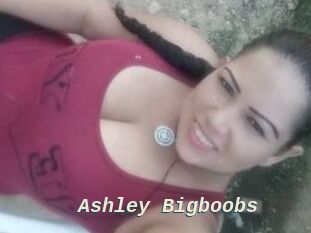 Ashley_Bigboobs