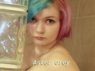 Aster_Grey