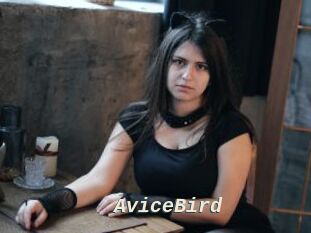 AviceBird