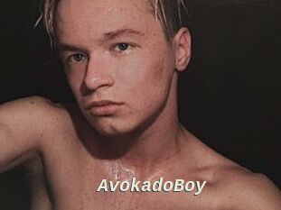 AvokadoBoy