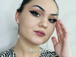 Accagise