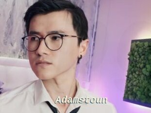 Adamstoun