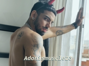Adonismuscle23