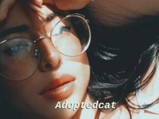 Adoptedcat