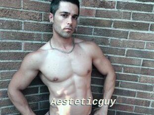 Aesteticguy