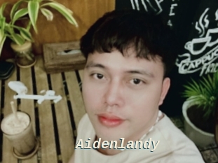 Aidenlandy