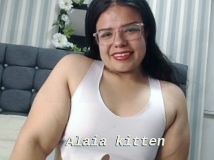 Alaia_kitten