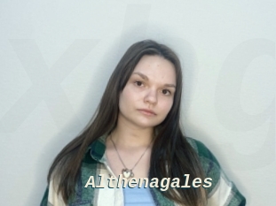 Althenagales