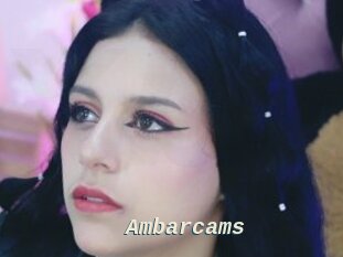 Ambarcams