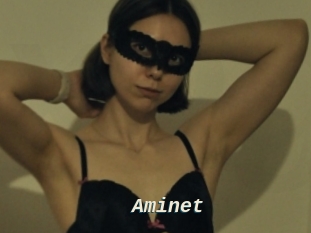 Aminet