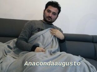 Anacondaaugusto