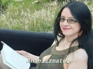 Anaelizmature