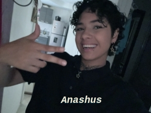 Anashus