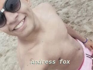 Andress_fox