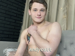 Andycatt