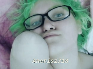 Aneris1718