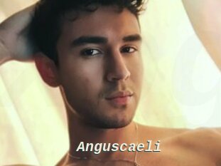 Anguscaeli