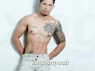 Anthonycub