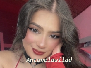 Antonelawildd