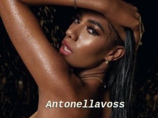 Antonellavoss