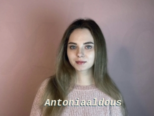 Antoniaaldous