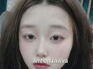Antoniaava