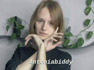 Antoniabiddy