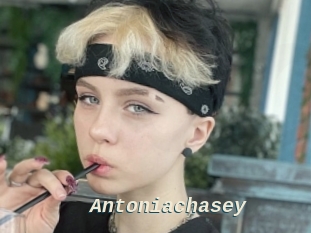 Antoniachasey
