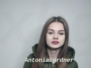 Antoniacordner
