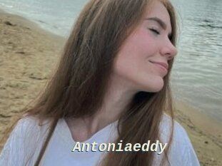 Antoniaeddy