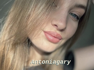 Antoniagary
