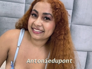 Antoniedupont