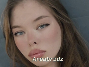 Areabridz