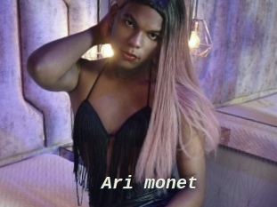 Ari_monet
