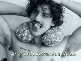 Aristotelesmustache18