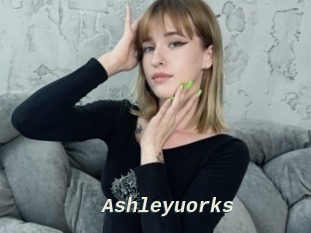 Ashleyuorks