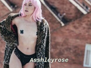 Asshleyrose