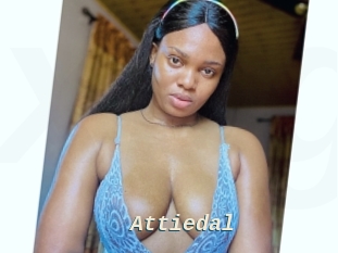 Attiedal