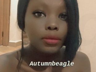 Autumnbeagle