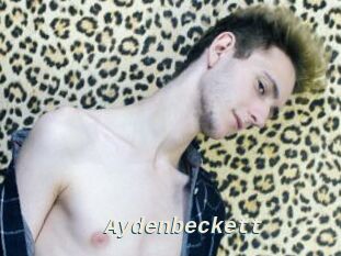 Aydenbeckett