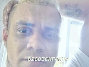 BIGDICKFORU4