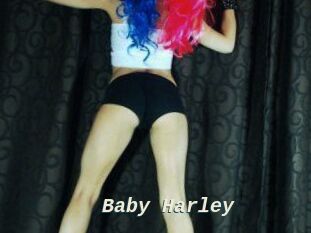 Baby_Harley